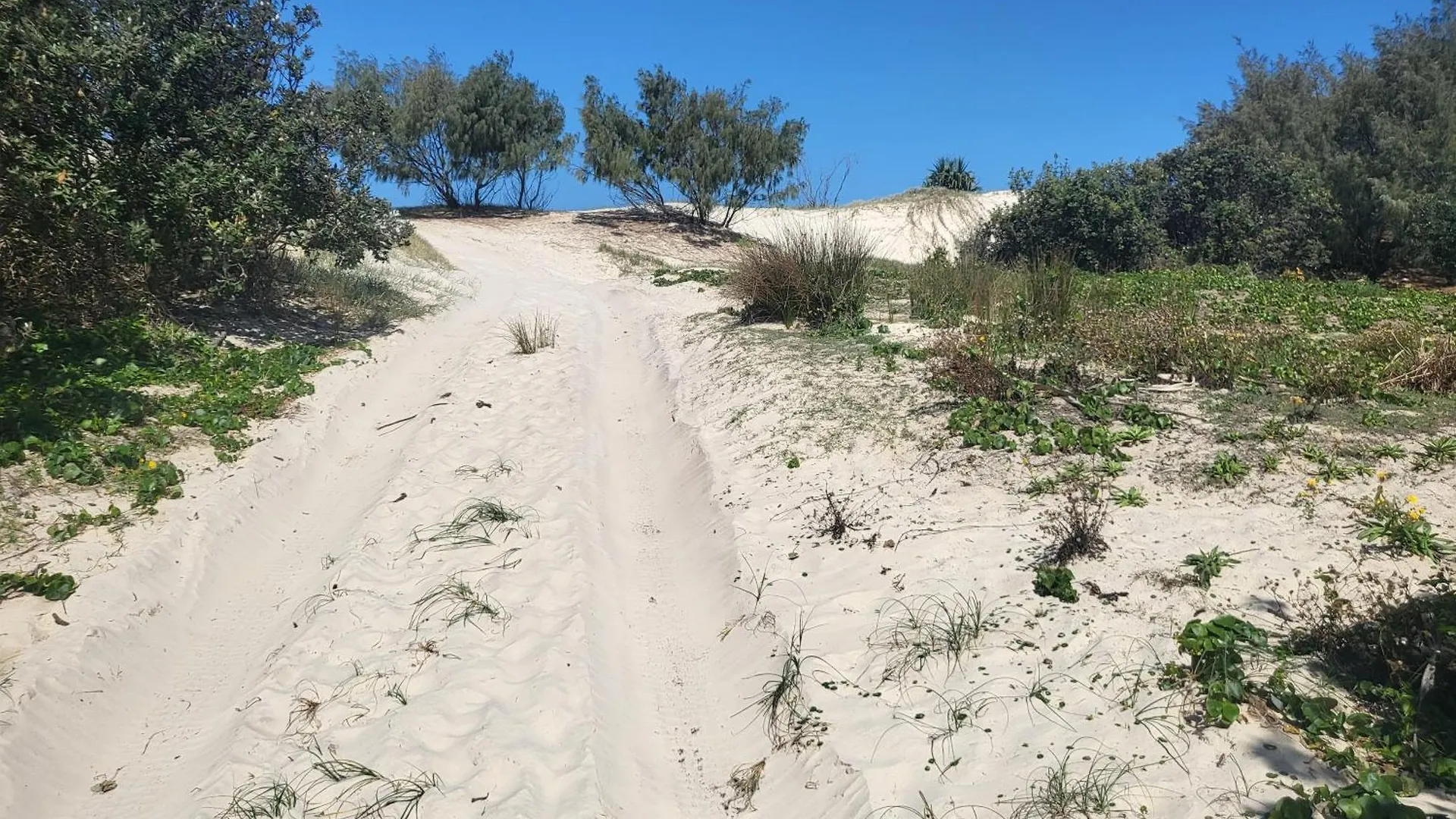 Campsite Kampkulcha Hotel Point Lookout Australia